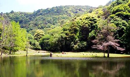 永平天气预报10天查询，末来十天天气